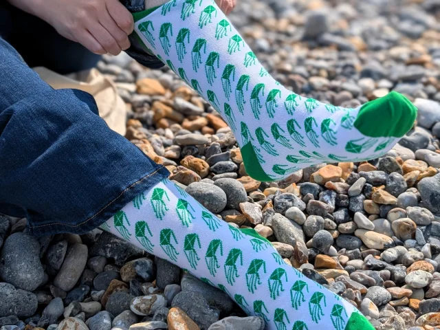 Chaussettes Cerfs Volants Dieppe