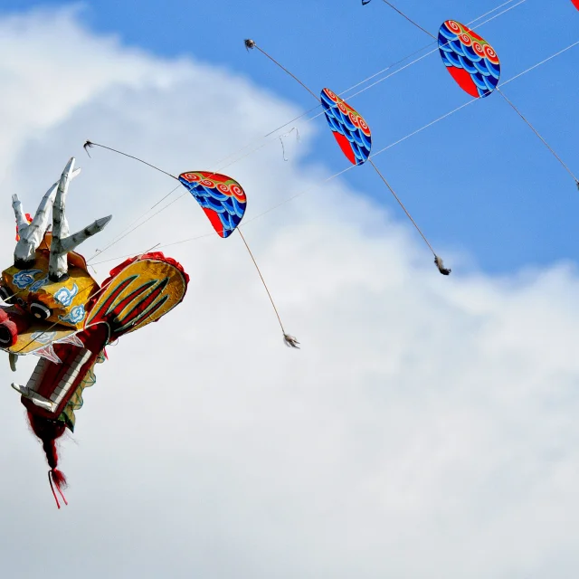 Festival Cerfs Volants Asie Yann Pelcat 1