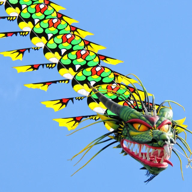 Festival Cerfs Volants Asie Yann Pelcat 2