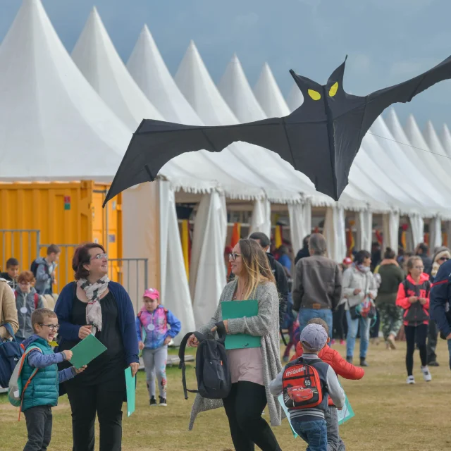 Festival Cerfs Volants Erwan Lesne Vdd 1