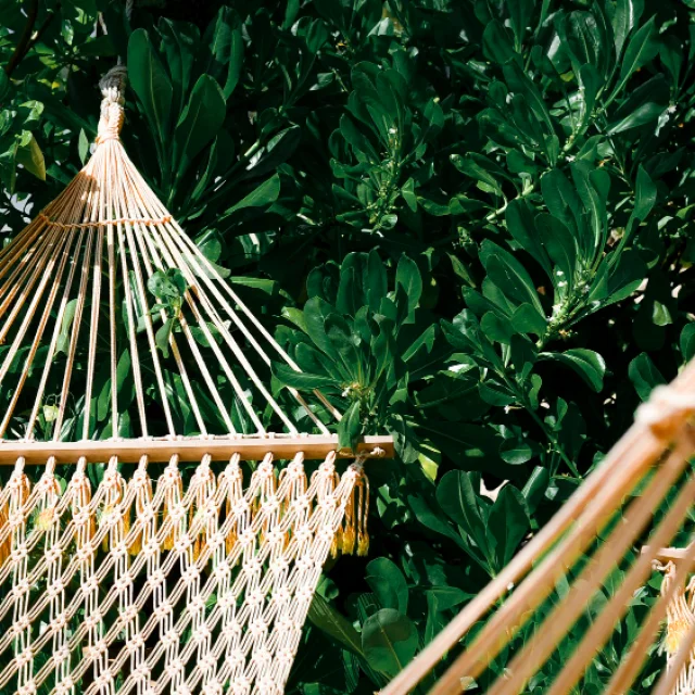 Hammock Illustration Eco Responsible