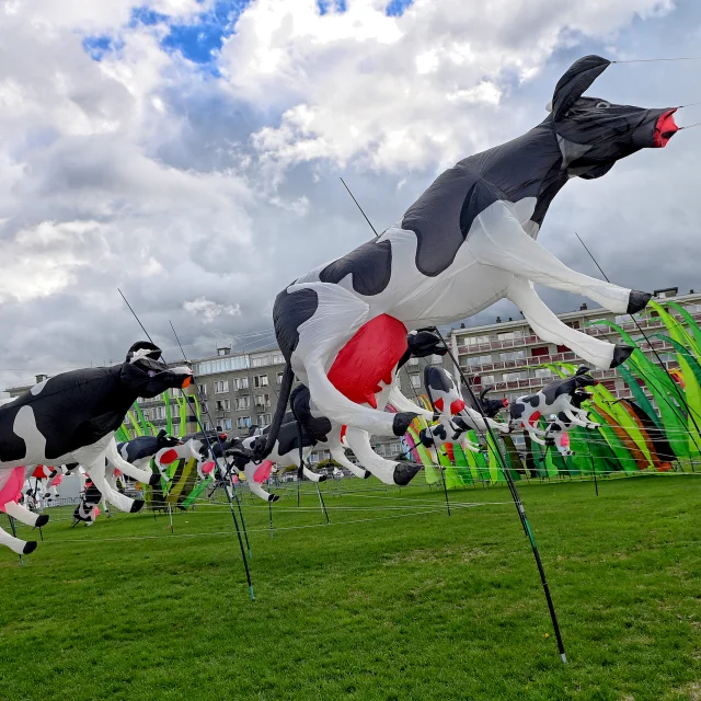 Festival International de Cerfs-Volants 2025