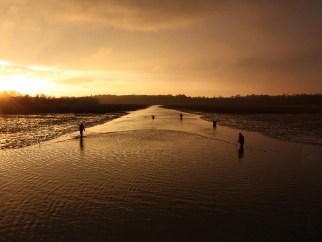 Pêche traditionnelle en Dombes