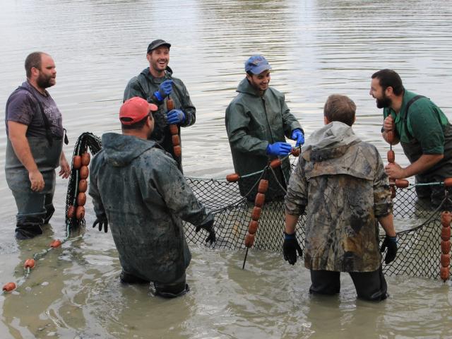 Pêche d'étang en Dombes