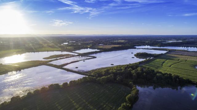 Les étangs de la Dombes
