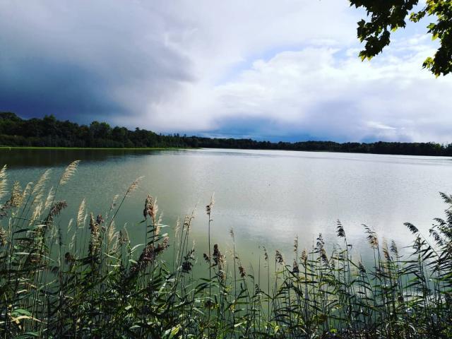 Etangs de la Dombes