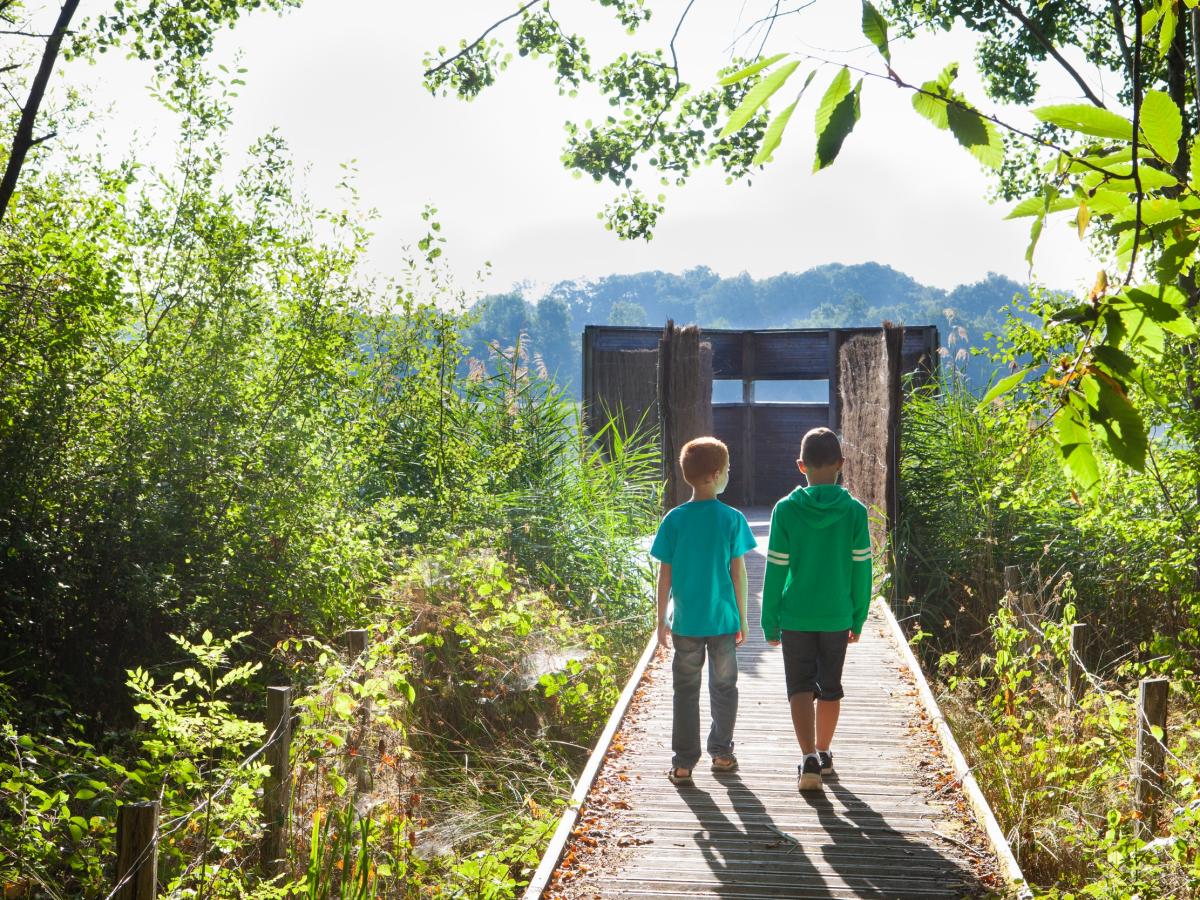 Les circuits de balades en Dombes