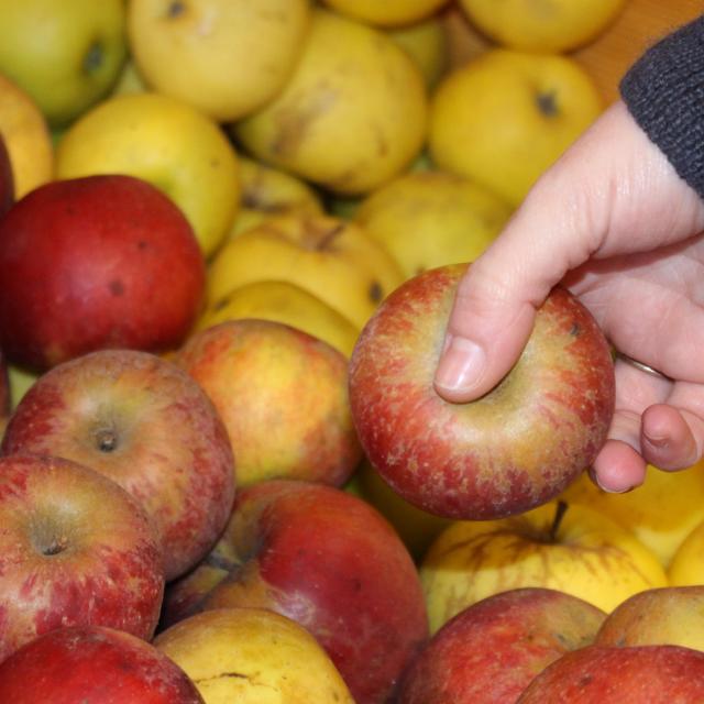 Pommes de l'Abbaye Notre Dame des Dombes
