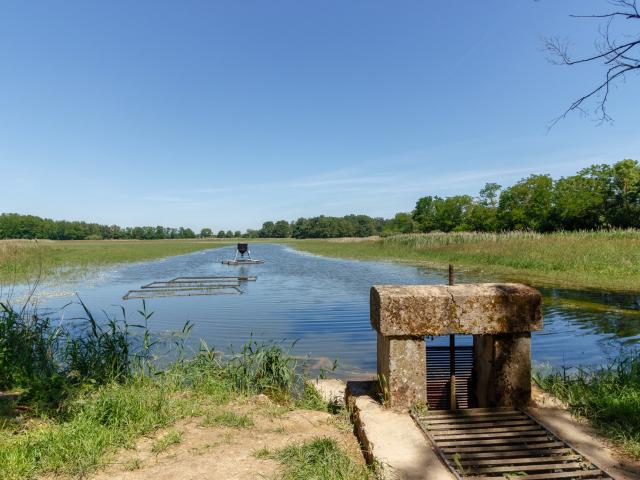 Etangs de la Dombes