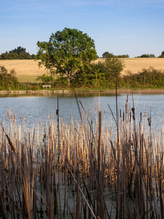 Etang Prele à Valeins