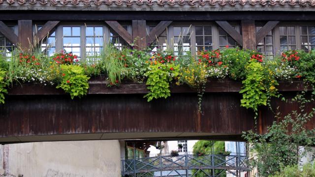 Pont fleuri sur la Chalaronne Châtillon-sur-Chalaronne