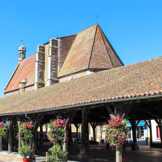 Halles de Chatillon Sur Chalaronne