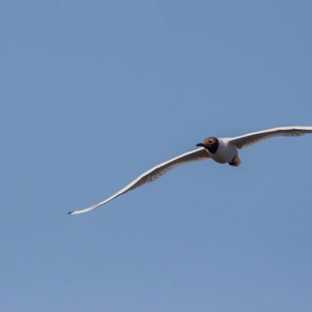 img-4913.jpg