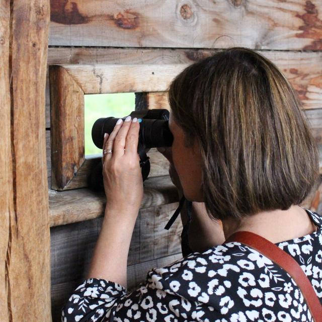 Observation à l'Etang Prele