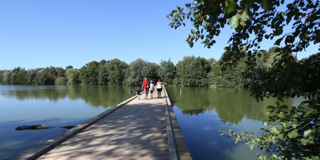 Passerelle du Parc des Oiseaux