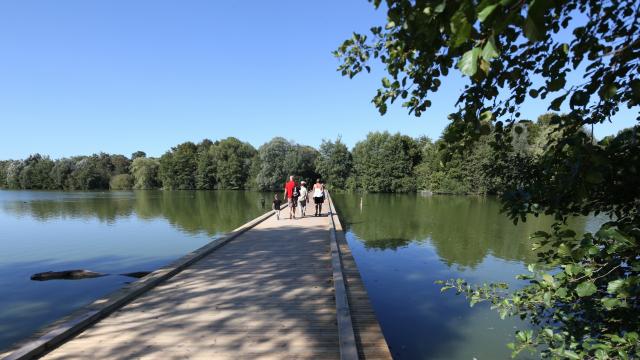 Passerelle du Parc des Oiseaux