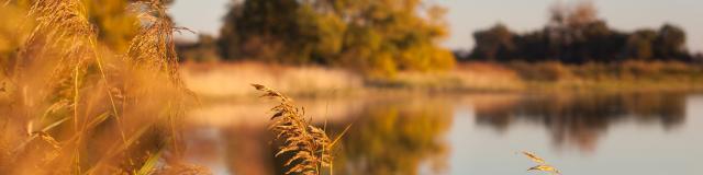 Paysages de la Dombes en Automne