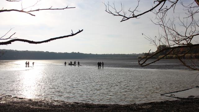 Pêche des étangs de la Dombes