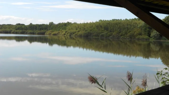 Vue sur l'étang de Vernange depuis l'observatoire