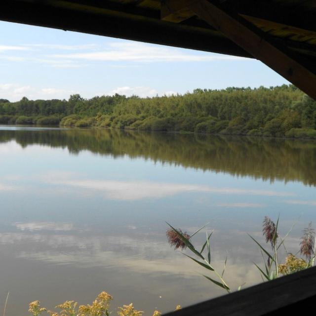 Vue sur l'étang de Vernange depuis l'observatoire