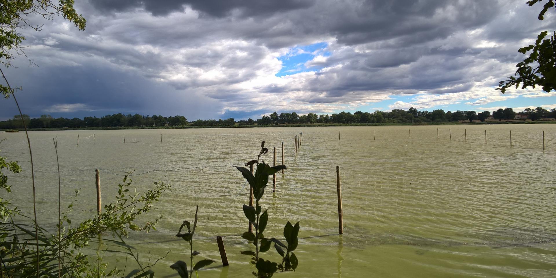Etang Grand Birieux