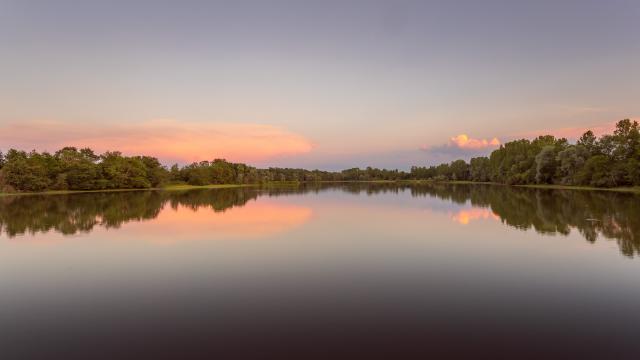 Etang de la Dombes