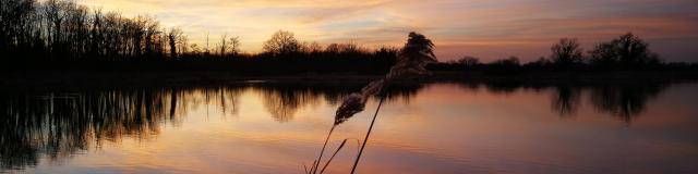 Coucher de soleil en Dombes