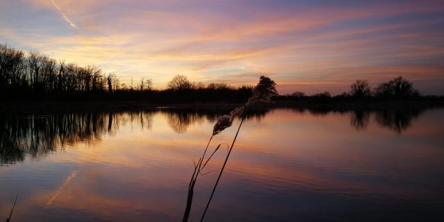 Coucher de soleil en Dombes