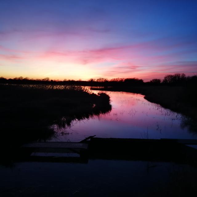 Etang à Bouligneux