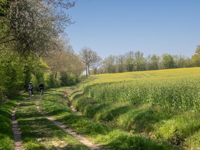 Circuit de balade proche de Lyon en pleine nature