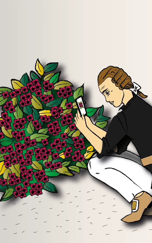 Carte Bonus Philibert Commerson