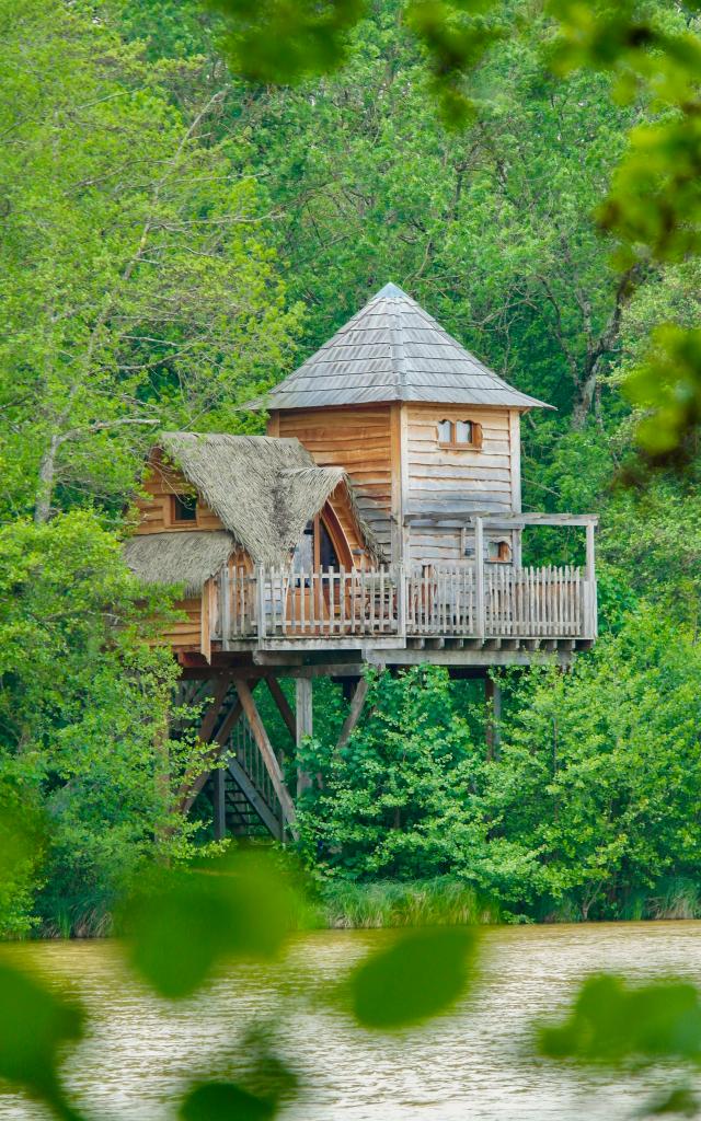 Nuit insolite dans les arbres