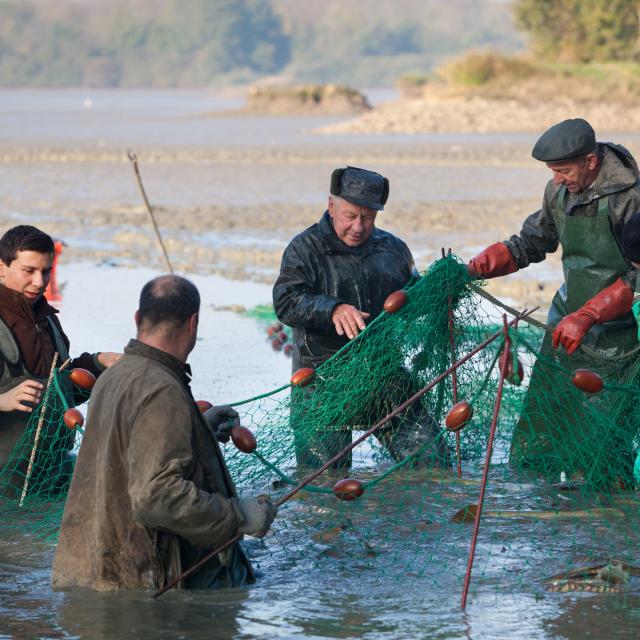 Journee peche etang de la Dombes (Ain)