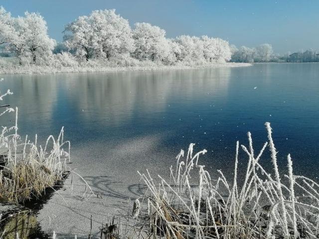 Etang de la Dombes gelé
