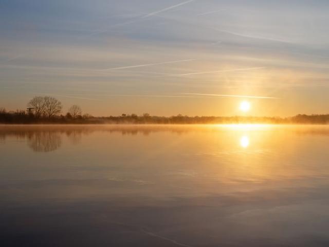 Lever de Soleil au bord d'un étang de la Dombes