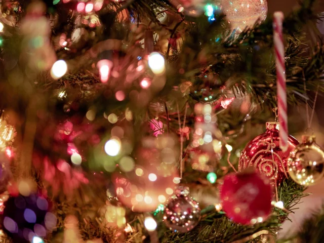 Marché de Noel en Dombes