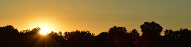 Coucher De Soleil Etang
