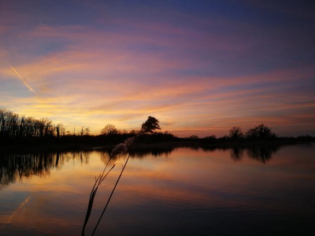 Coucher De Soleil Etang