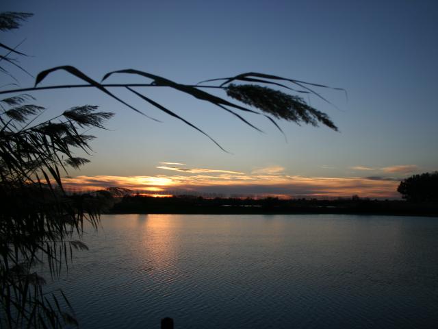 Coucher De Soleil Etang
