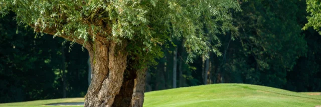 Golf de la Sorelle