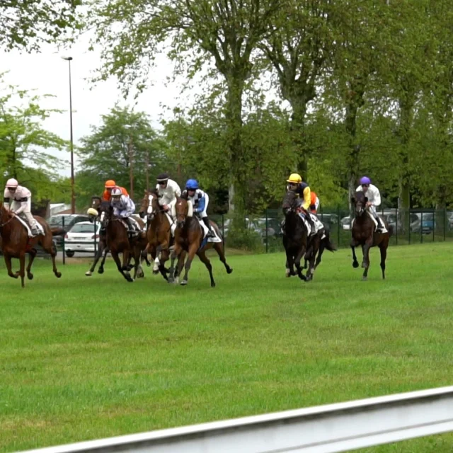 Courses Hippiques D