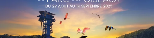 Musicales-du-PDO-2025.png