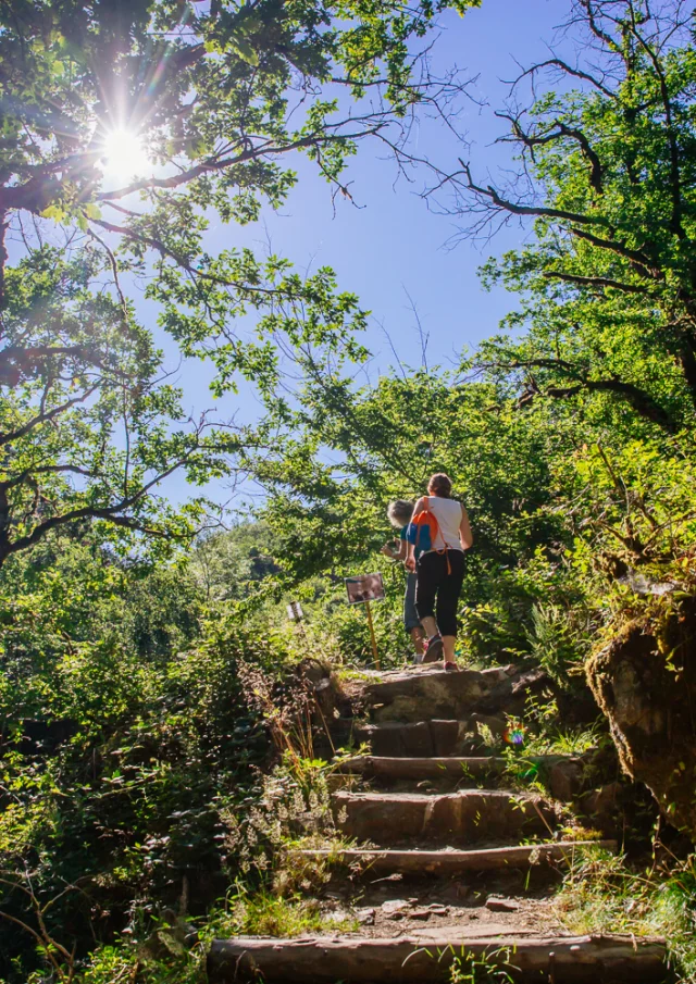 Rando Auvezeres Dordogne Tourisme Agence Les Conteurs 19