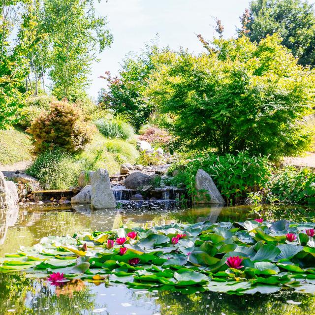 Les Jardins d'Eau à Carsac Aillac en Dordogne Périgord