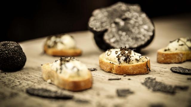 Truffe du Périgord