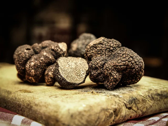 Truffe du Périgord