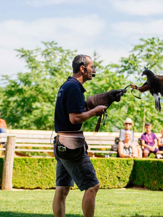 Spectacle de rapaces au Château des Milandes à Castelnaud en Dordogne Périgord