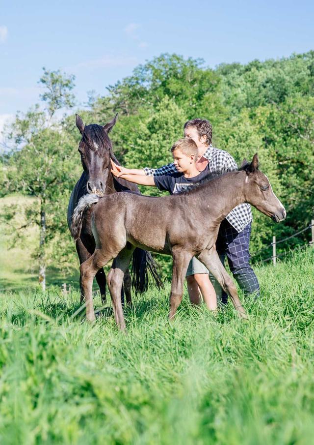 Les Deux Abbesses en Vert à Mareuil en Dordogne Périgord