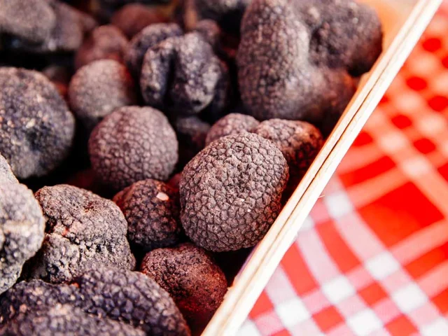 Truffe du Périgord