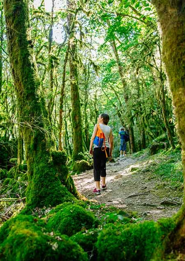 Randonnée dans les gorges de l'Auvézère en Dordogne Périgord